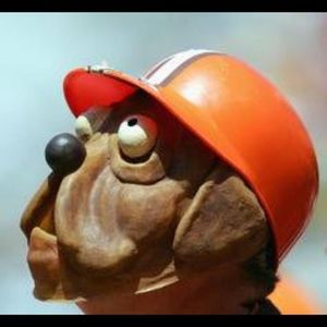 Meet your Posher, Kevin